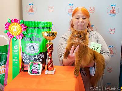 �������� ����� 19-20 �������� 2020 ���������� 24-87-0259.jpg