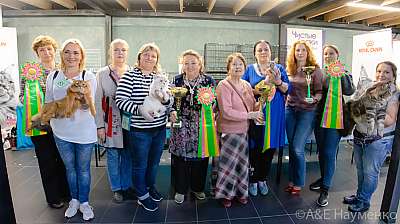 �������� ����� 19-20 �������� 2020 ���������� 27-0329.jpg