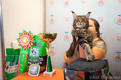 �������� ����� 19-20 �������� 2020 ���������� 4-39-0328.jpg