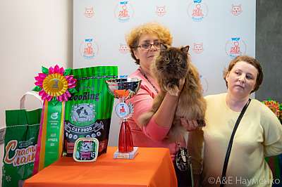 �������� ����� 19-20 �������� 2020 ���������� 7-51-0313.jpg