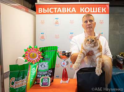 �������� ����� 19-20 �������� 2020 ���������� 8-17-0310.jpg