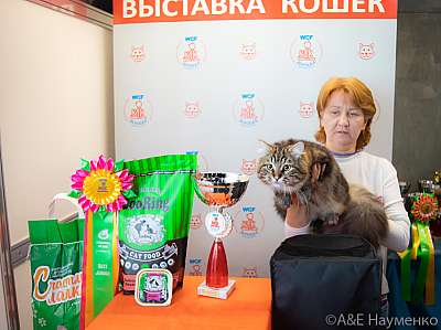 �������� ����� 19-20 �������� 2020 ���������� 9-77-0307.jpg