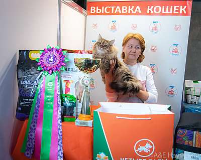 �������� ����� 19-20 �������� 2020 ���������� �������� ����� 19-20 �������� 2020 ����������  1-80-0577.jpg