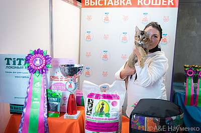 �������� ����� 19-20 �������� 2020 ���������� 12-126-0539.jpg