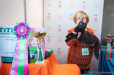 �������� ����� 19-20 �������� 2020 ���������� 14-89-0532.jpg