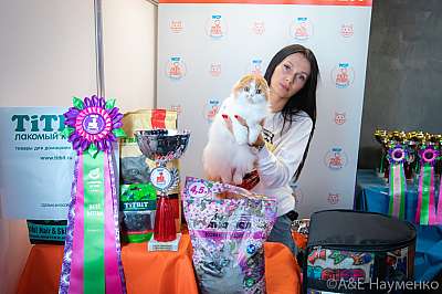 �������� ����� 19-20 �������� 2020 ���������� 17-171-0520.jpg