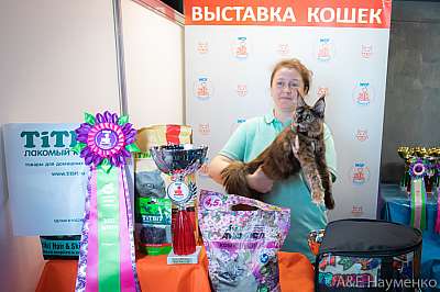 �������� ����� 19-20 �������� 2020 ���������� 18-23-0518.jpg