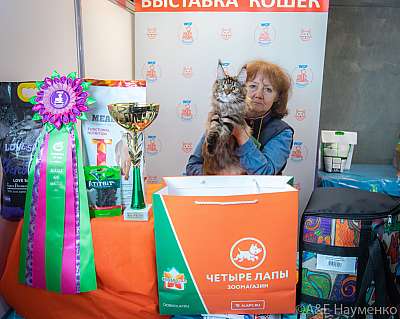 �������� ����� 19-20 �������� 2020 ���������� �������� ����� 19-20 �������� 2020 ���������� 2-27-0576.jpg