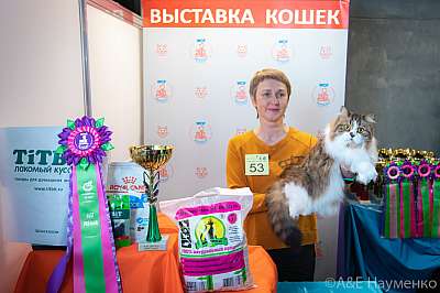 �������� ����� 19-20 �������� 2020 ���������� 23-53-0491.jpg