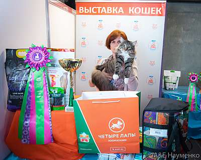 �������� ����� 19-20 �������� 2020 ���������� 4-59-0573.jpg