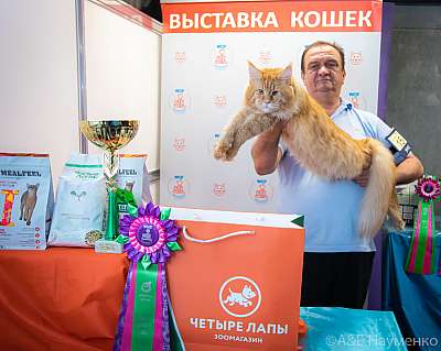 �������� ����� 19-20 �������� 2020 ���������� 6-15-0567.jpg