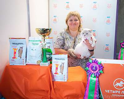 �������� ����� 19-20 �������� 2020 ���������� 7-110-0547.jpg