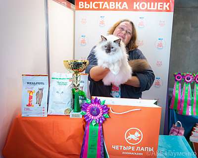 �������� ����� 19-20 �������� 2020 ���������� 8-60-0560.jpg