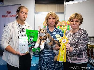 �������� ����� 19-20 �������� 2020 ���������� 10-152-0125.jpg