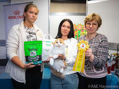 �������� ����� 19-20 �������� 2020 ���������� 2-171-0120.jpg