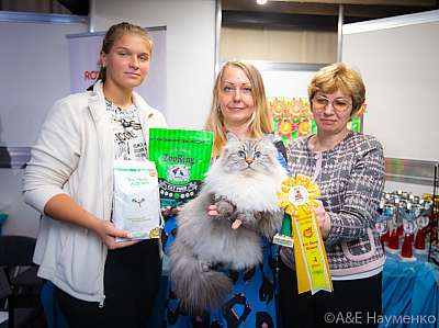 �������� ����� 19-20 �������� 2020 ���������� 4-74-0118.jpg