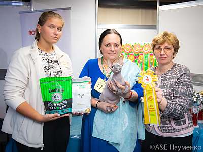 �������� ����� 19-20 �������� 2020 ���������� 6-174-0119.jpg