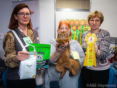 �������� ����� 19-20 �������� 2020 ���������� 7-82-0127.jpg