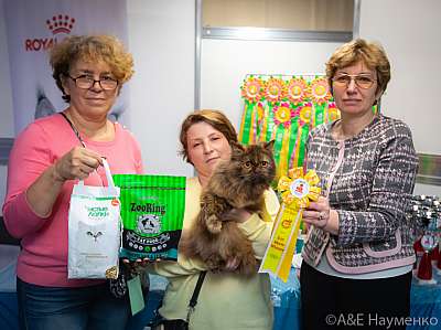 �������� ����� 19-20 �������� 2020 ���������� 9-51-0124.jpg