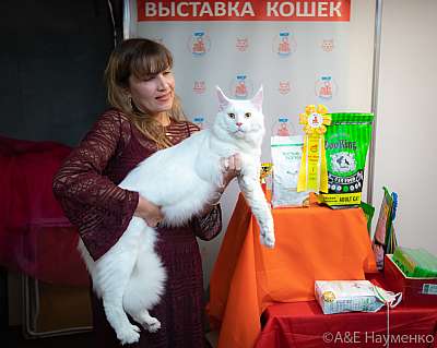 �������� ����� 19-20 �������� 2020 ���������� 1-50-0176.jpg