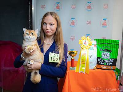 �������� ����� 19-20 �������� 2020 ���������� 9-1820162.jpg