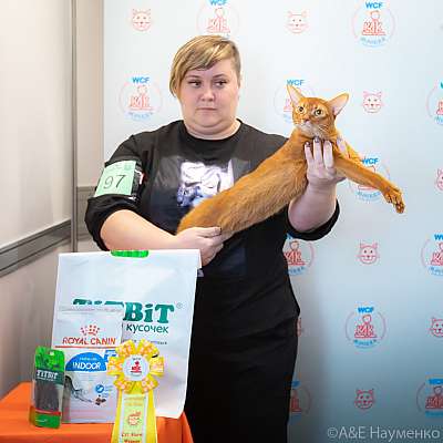 �������� ����� 19-20 �������� 2020 ���������� 2-97-0462.jpg