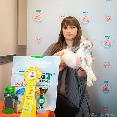 �������� ����� 19-20 �������� 2020 ���������� 3-102-0460.jpg