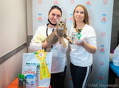 �������� ����� 19-20 �������� 2020 ���������� 4-126-0466.jpg