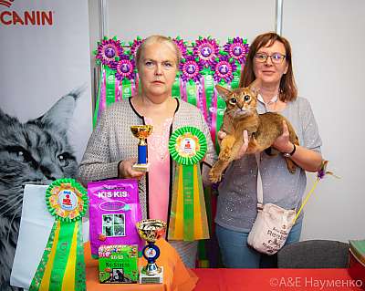 �������� ����� 19-20 �������� 2020 ���������� 0453.jpg