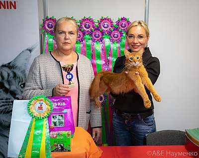 �������� ����� 19-20 �������� 2020 ���������� 0455.jpg