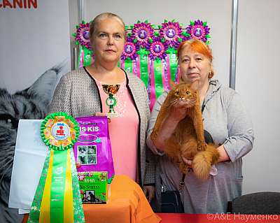 �������� ����� 19-20 �������� 2020 ���������� 0456.jpg