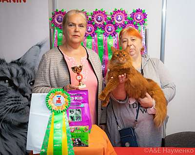 �������� ����� 19-20 �������� 2020 ���������� 0457.jpg