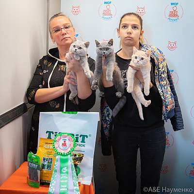 �������� ����� 19-20 �������� 2020 ���������� 0427.jpg