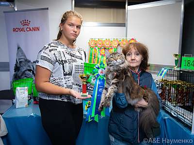 �������� ����� 19-20 �������� 2020 ���������� 2-27-0240.jpg