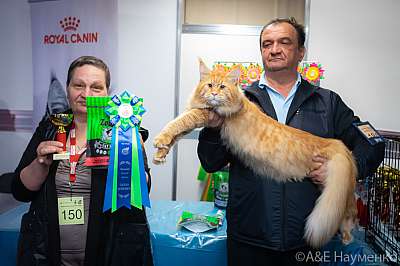 �������� ����� 19-20 �������� 2020 ���������� 3-15-0246.jpg