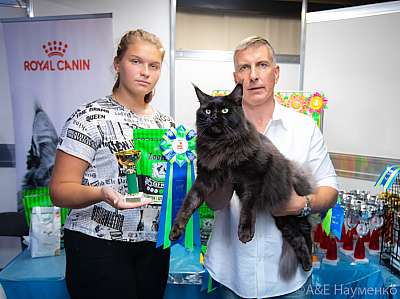 �������� ����� 19-20 �������� 2020 ���������� 6-43-0239.jpg