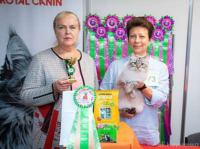 �������� ����� 19-20 �������� 2020 ���������� 3-73-0419.jpg