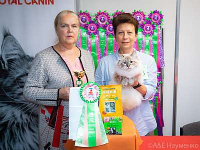 �������� ����� 19-20 �������� 2020 ���������� 4-75-0420.jpg