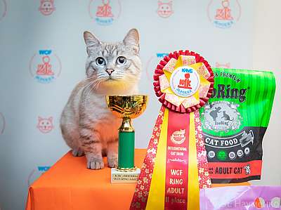 �������� ����� 19-20 �������� 2020 ���������� 2-137-0059.jpg