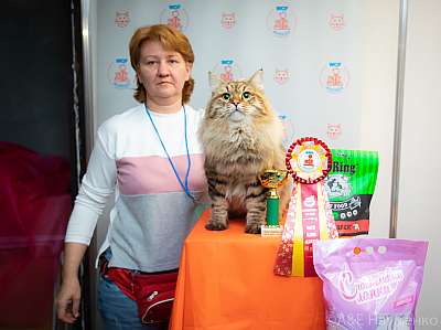 �������� ����� 19-20 �������� 2020 ���������� 3-80-0064.jpg