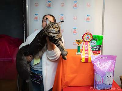 �������� ����� 19-20 �������� 2020 ���������� 6-39-0053.jpg