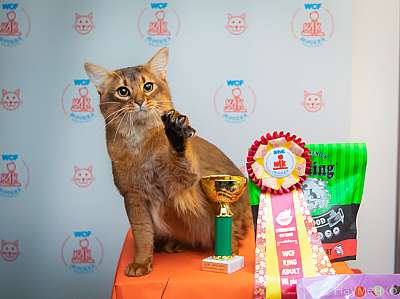 �������� ����� 19-20 �������� 2020 ���������� 7-85-0051.jpg