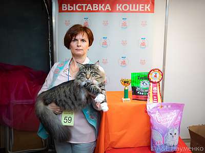 �������� ����� 19-20 �������� 2020 ���������� 8-59-0048.jpg