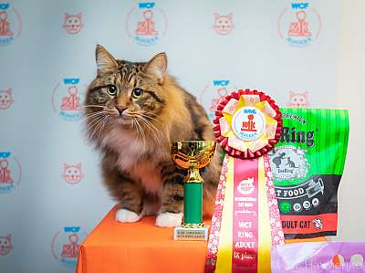 �������� ����� 19-20 �������� 2020 ���������� 9-56-0056.jpg