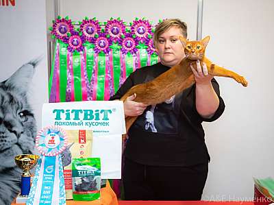 �������� ����� 19-20 �������� 2020 ���������� 7-97-0358.jpg