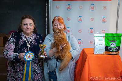 �������� ����� 19-20 �������� 2020 ���������� 3-87-0213.jpg