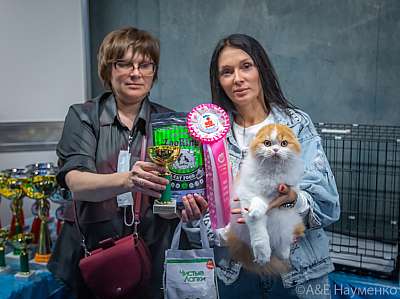 �������� ����� 19-20 �������� 2020 ���������� 4-171-0023.jpg