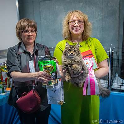 �������� ����� 19-20 �������� 2020 ���������� 5-79-0029.jpg