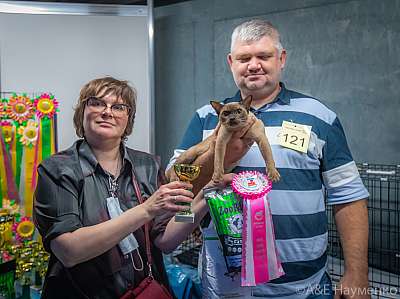 �������� ����� 19-20 �������� 2020 ���������� 6-121-0021.jpg