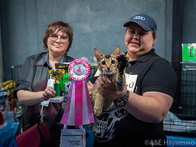 �������� ����� 19-20 �������� 2020 ���������� 7-126-0024.jpg